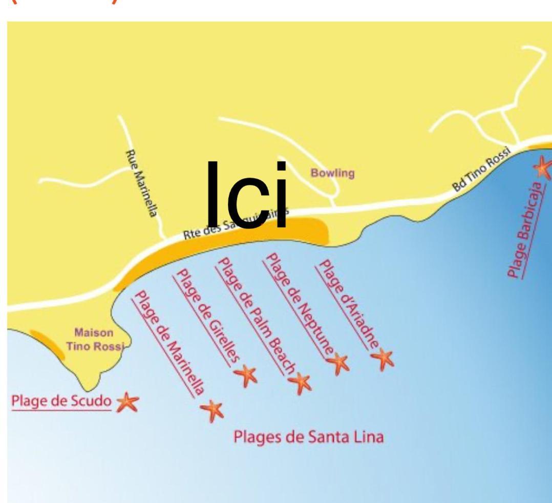 Superbe Pieds Dans L Eau Face A La De Sable Fin Route Des Iles Des Sanguinaires Apartment Ajaccio (Corsica)